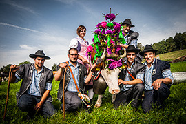 cow farmers in pasture