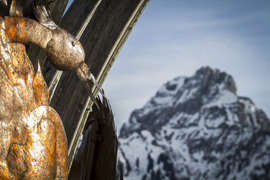 swiss crane and mountains